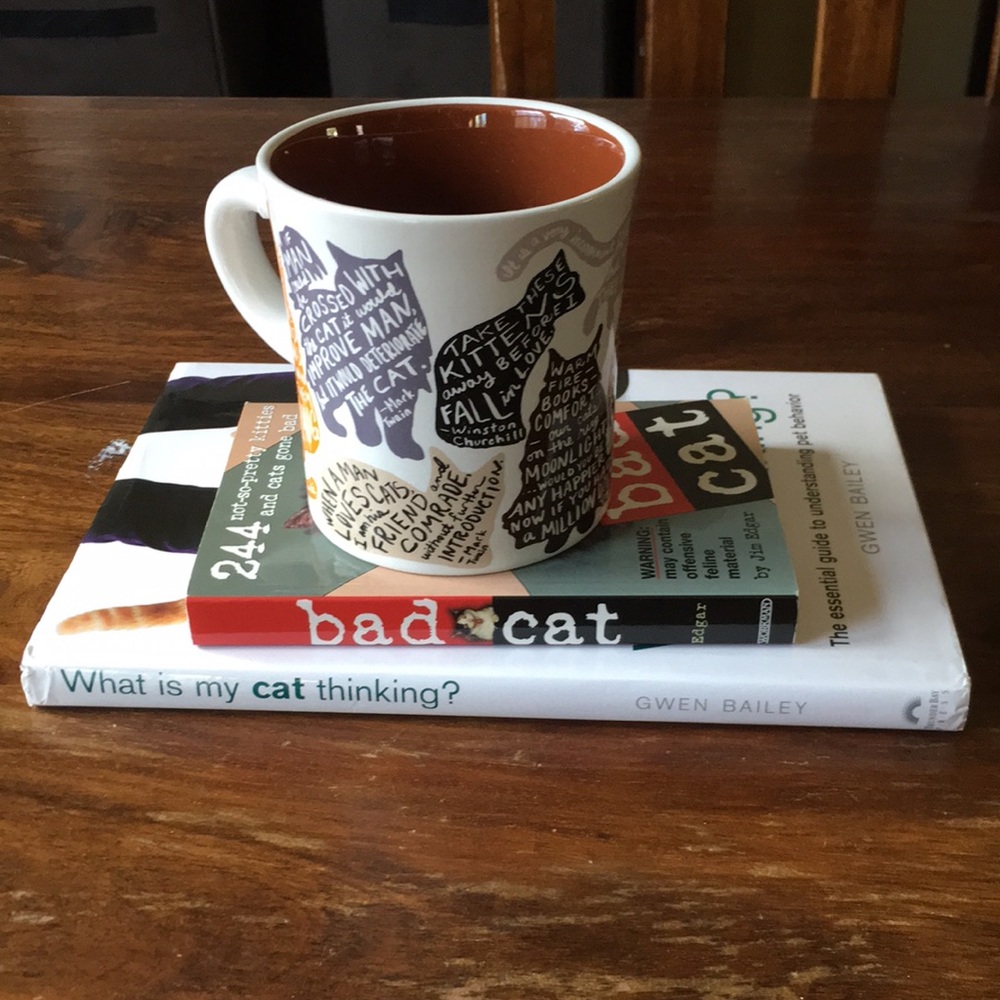 Cat lovers bundle: Unemployed philosophers mug, Bad Cat, what is my cat thinking